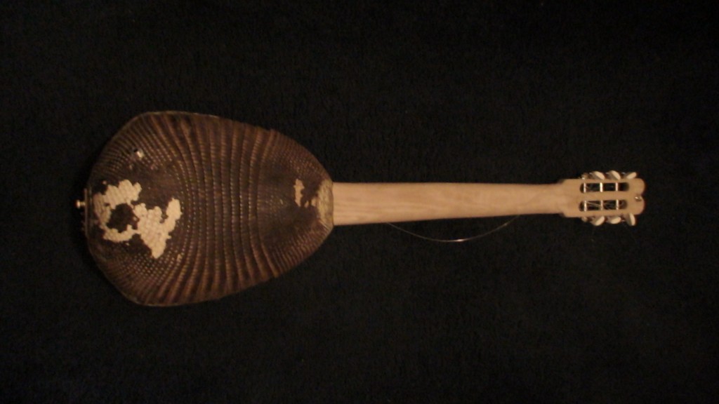 Armadillo Shell Guitar New Mexico's Folk Music Treasure