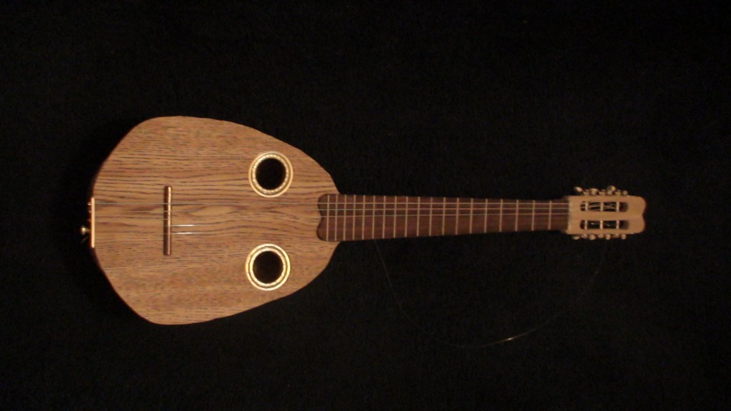 Armadillo Shell Guitar New Mexico's Folk Music Treasure